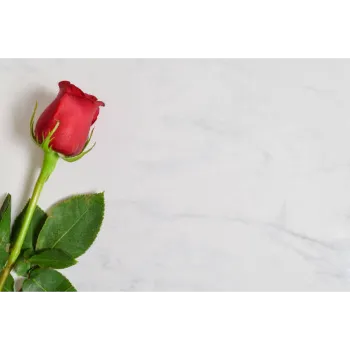 Natural Red Rose